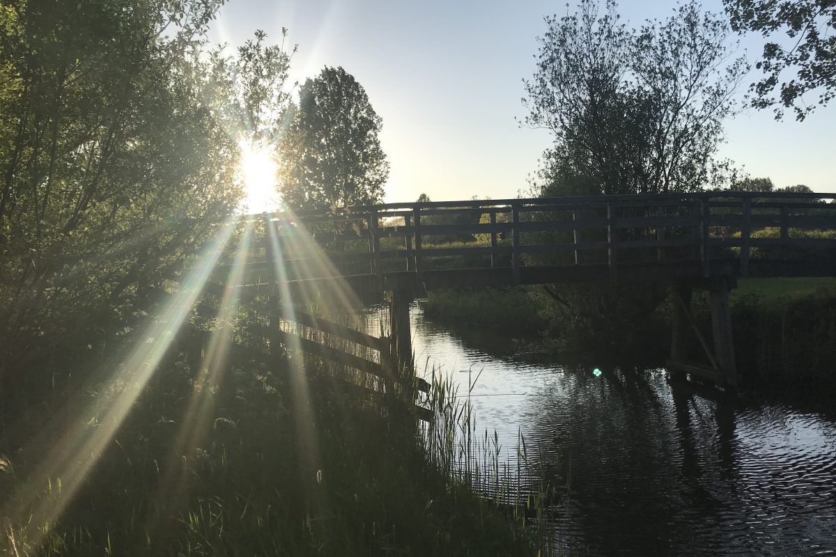 Lunetten in de avondzon