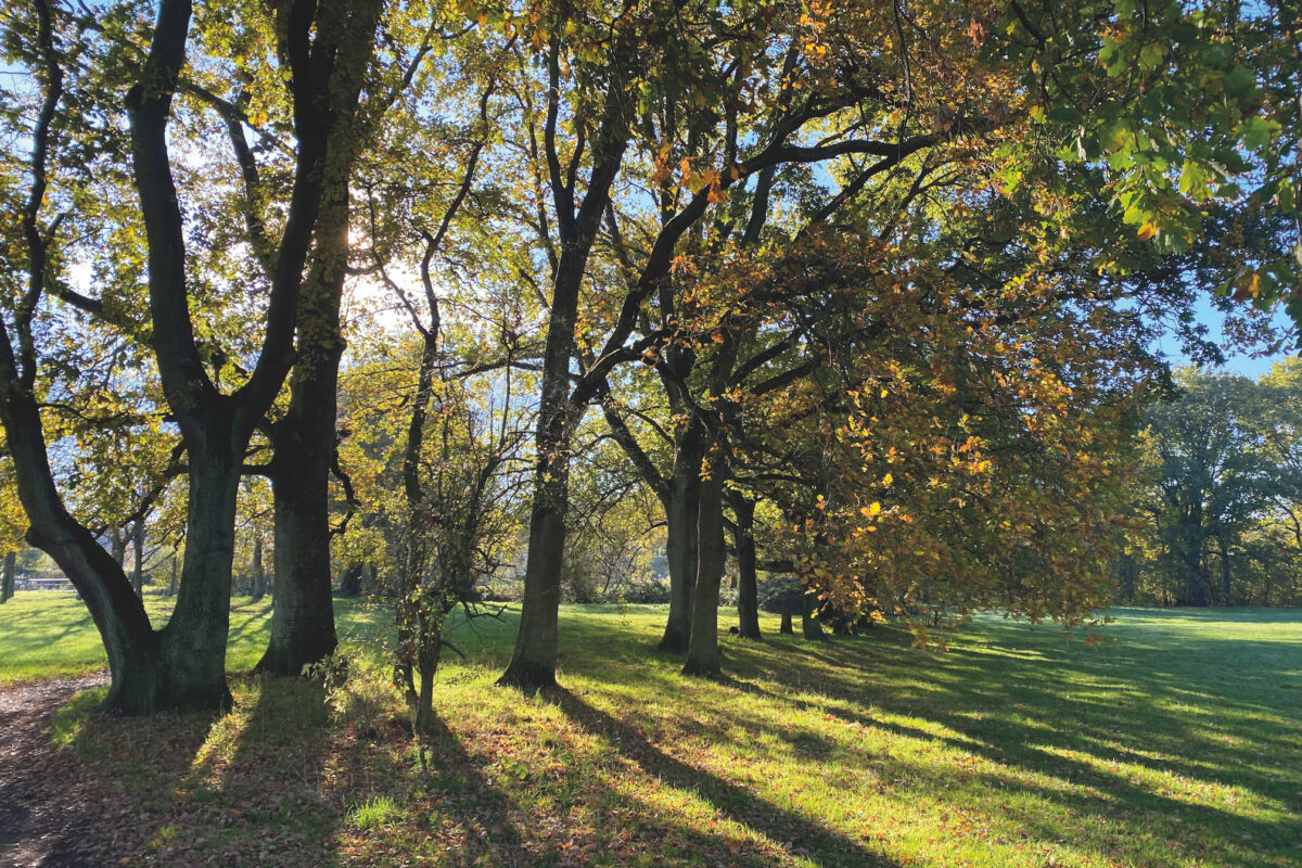 Wandeldialoog Lunetten