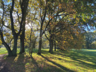 Wandeldialoog Lunetten